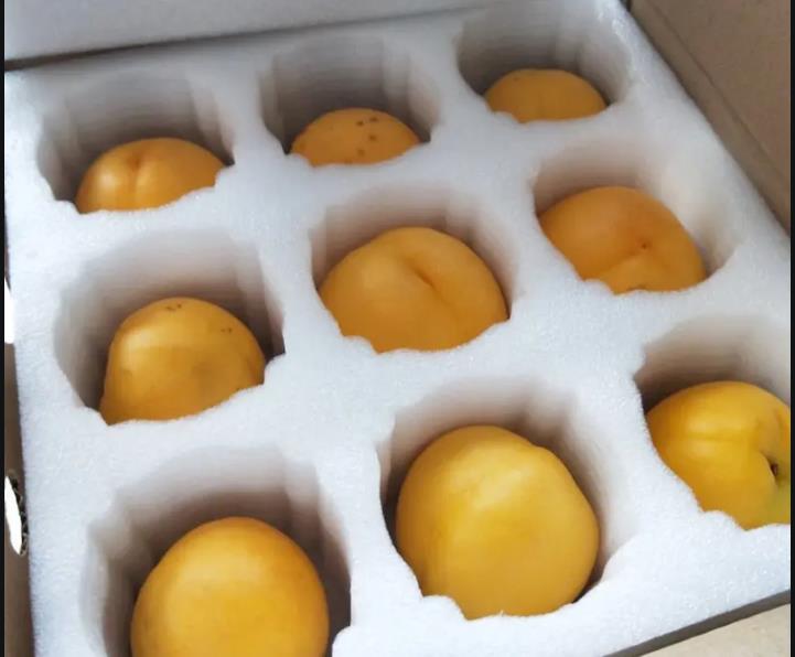 珍珠棉水果內(nèi)托